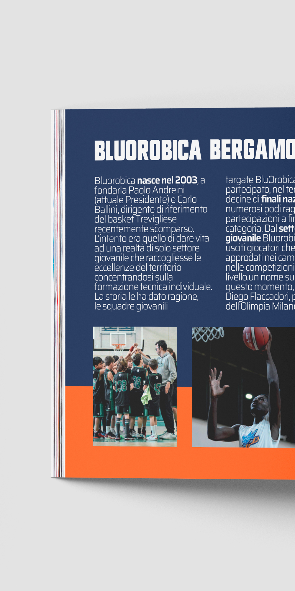 base works bluor 1000 11